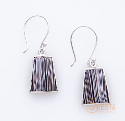 Siesta Sterling Silver Fordite Earrings on Hook