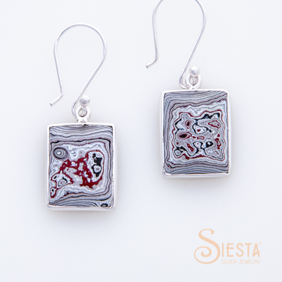 Siesta Sterling Silver Fordite Earrings on Hook